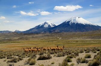 Chile: 11 Must-See National Parks